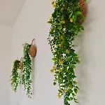 Seasuites Yellow - Loft Cerca Del Mar En Cullera Апартаменты Mareny de San Lorenzo